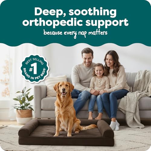 Orthopedic Dog Bed for Large Dogs w (Jumbo / Espresso)