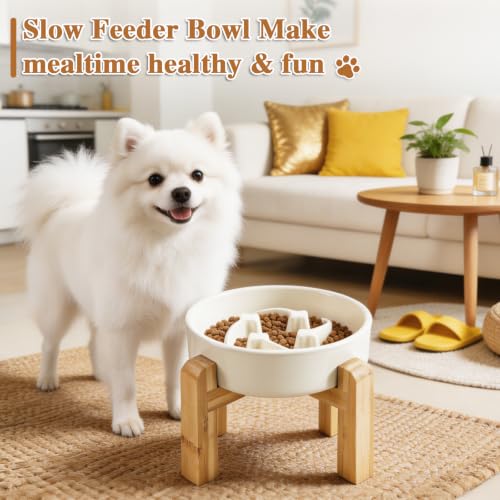 6.3” Elevated Slow Feeder Dog Bowls (White-M)