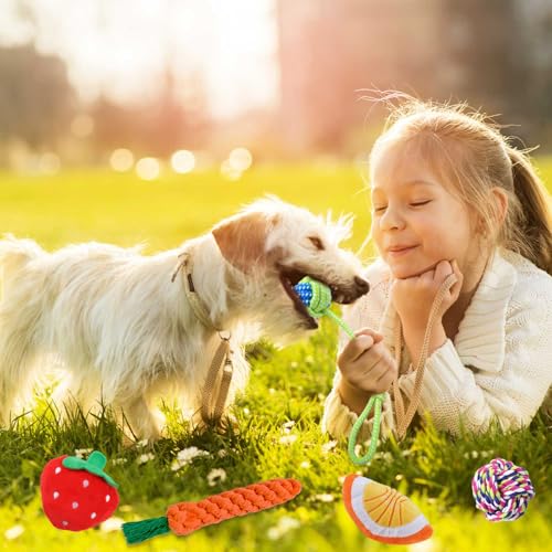 Puppy Chew Toys for Teething - PetSolution