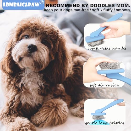 Dog Brush for Poodles (Blue)