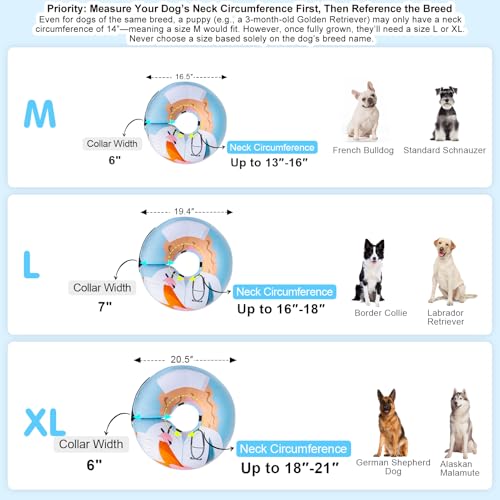 Dog Cone Collar Alternative After Surgery (Nurse / XL(Neck:18"-21"))