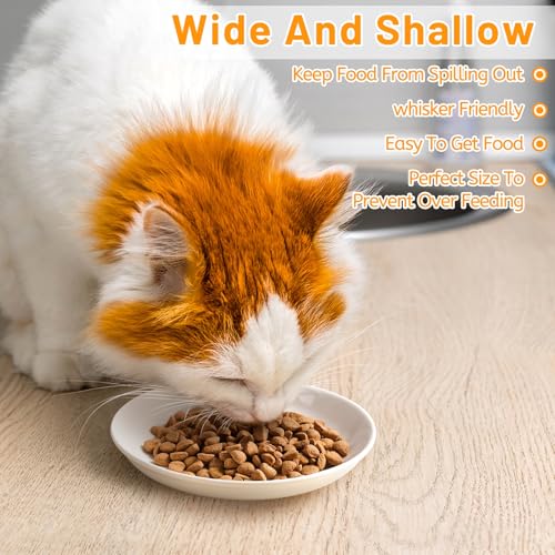 Ceramic Cat Bowls (basic dish，6 pack / fishbone+cat paw)