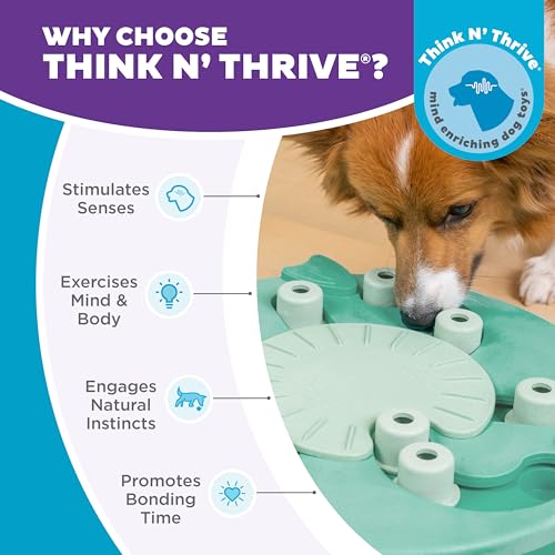 Nina Ottosson Dog Worker Dog Toy Treat Puzzle (Dog Worker (Green) / 1 Count (Pack of 1))