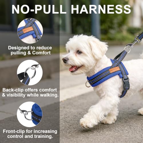 Small Dog Harness and Leash Set (Dark Blue / S: Chest 17.5"-22")