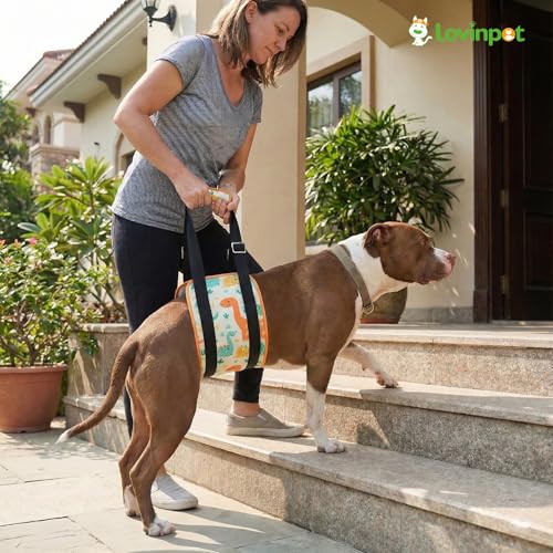 Dog Lift Harness Rear Support Sling (Orange)