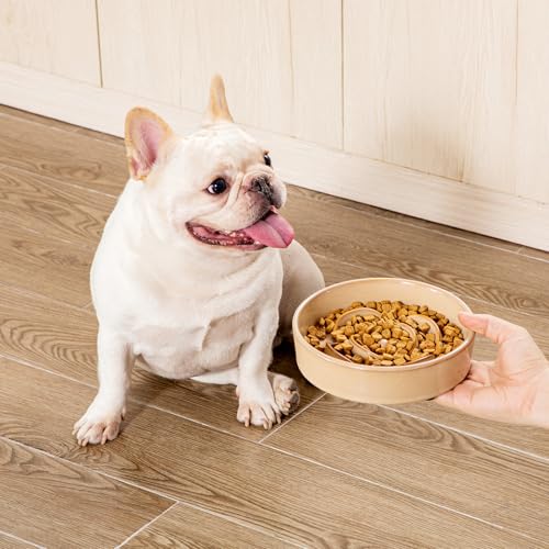 Ceramic Slow Feeder Dog Bowls (S - 0.6 Cups / Khaki)