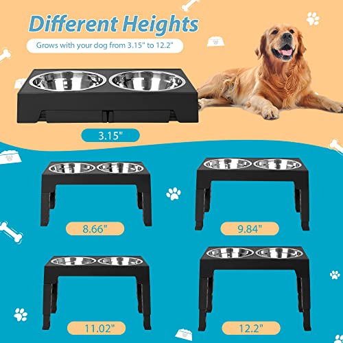 Elevated Dog Bowls with 2 Stainless Steel Dog Food Bowls (Black)