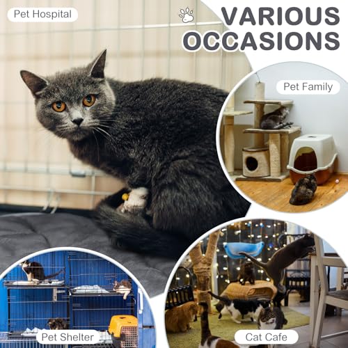8 Pack Self Heating Cat Mat (Gray / 16 x 16 Inch)