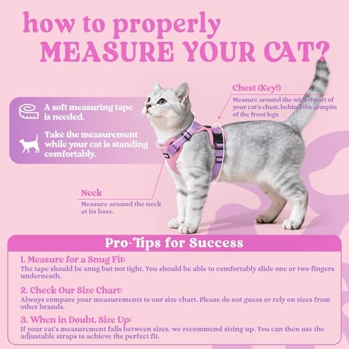 Cat Harness and Leash Set (M / Pink & Light Purple)