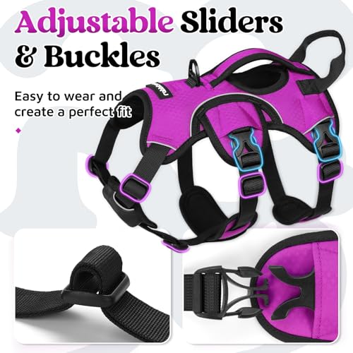 Escape Proof Dog Harness for Small (Purple / Small)