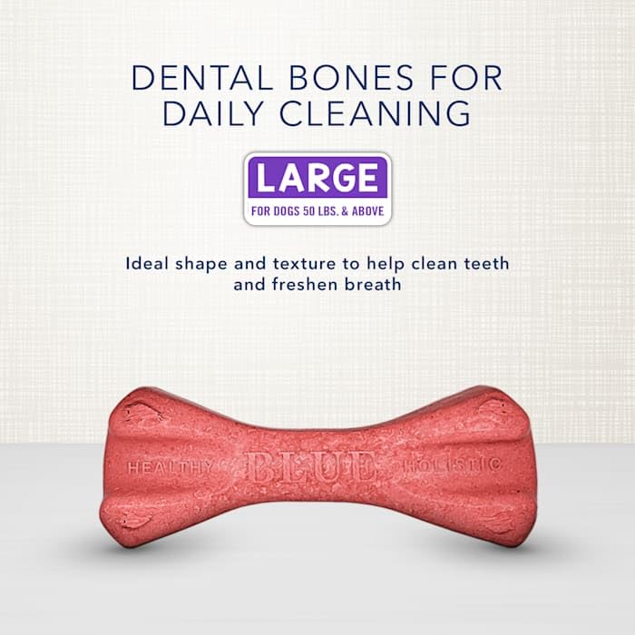 Large Dental Bones (36 Ounce (Pack of 1))