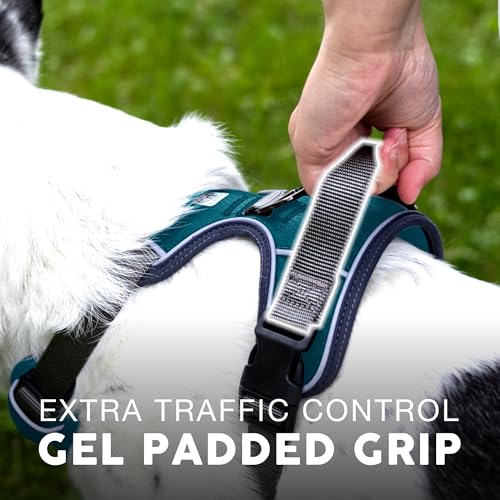 Embark No Pull Dog Harness (L / Blue)