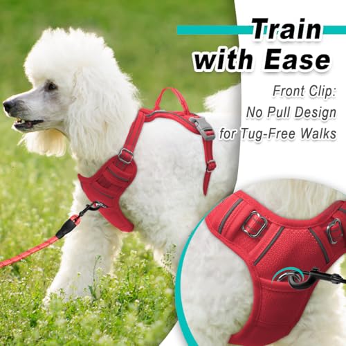 Dog Harness for Small Sized Dog No Pull Mesh 2 Clips Dog Vest (X-Small / Red-Mesh)