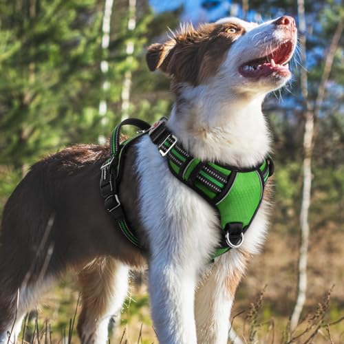 Dog Harness Medium Sized (Green / Medium)