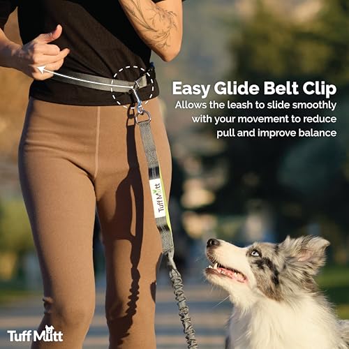 Waist Hands Free Dog Leash for Walking Running Hiking (green/gray)