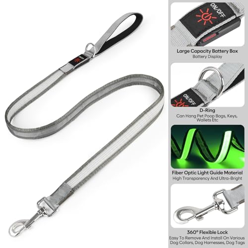 4 Ft Multi Color Light up Dog Leash (4 FT (Gray))