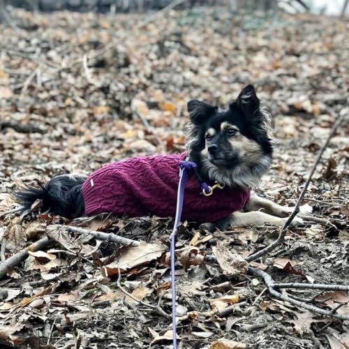 Dog Sweater Award Winning Christmas Sweater for Large Dogs (18 inch (Pack of 1) / Burgundy)
