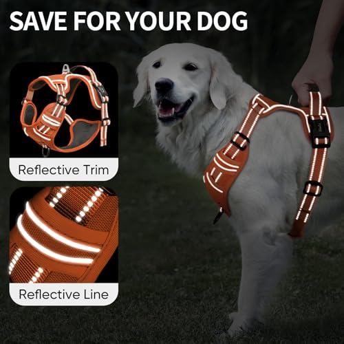 Dog Harness for Small Dogs No Pull Dog Vest Harness for Small Dog with Soft Padded Handle Reflective for Outdoor Training (S / Pumpkin Orange)
