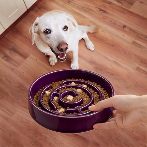 Ceramic Slow Feeder Dog Bowl (Purple)