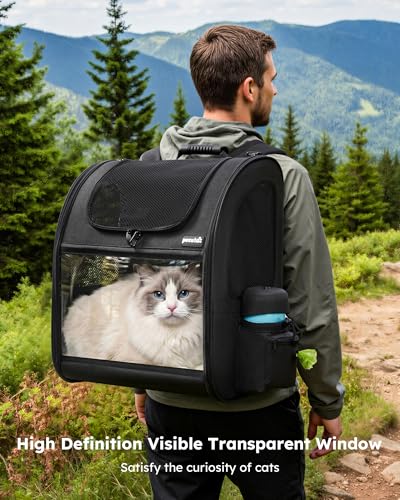 Cat Backpack Expandable (Black / 15.4"L x 11.0"W x 19.0"H)