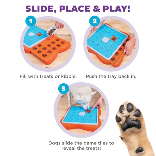 Nina Ottosson Challenge Slider Dog Toy Treat Puzzle (Challenge Slider (Orange, Blue) / 1 Count (Pack of 1))