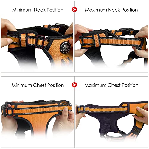 Dog Harness for Medium Sized Dog (Orange / Medium)