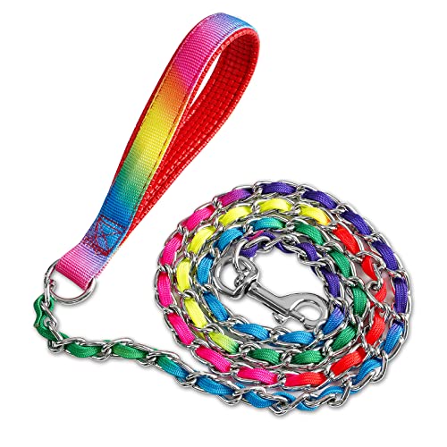 Metal Chain Dog Leash Chew Proof for Dogs (Colorful / 6FT 3.5mm (Medium & Large dogs))