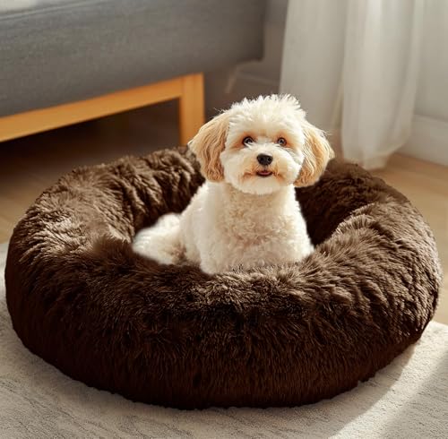 Dog & Cat Bed (23" / Coffee)