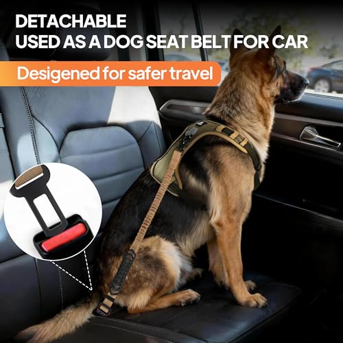 Heavy Duty Dog Leash for Large Dogs that Pull (Brown)