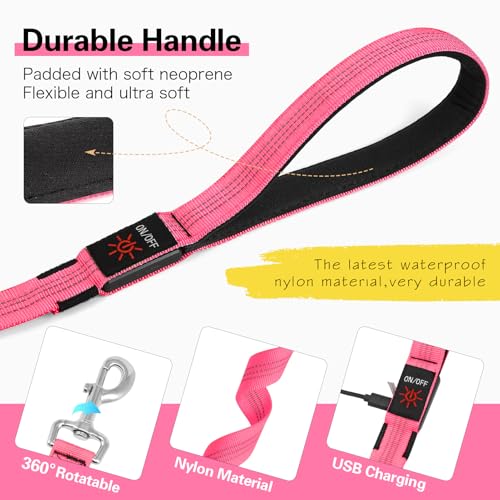 Light Up Dog Leash (Pink)
