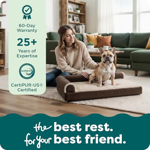 Orthopedic Dog Bed for Medium (Medium / Espresso)