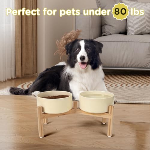 Elevated Dog Bowls Ceramic (7.3 in - 5.3 cups / Beige)