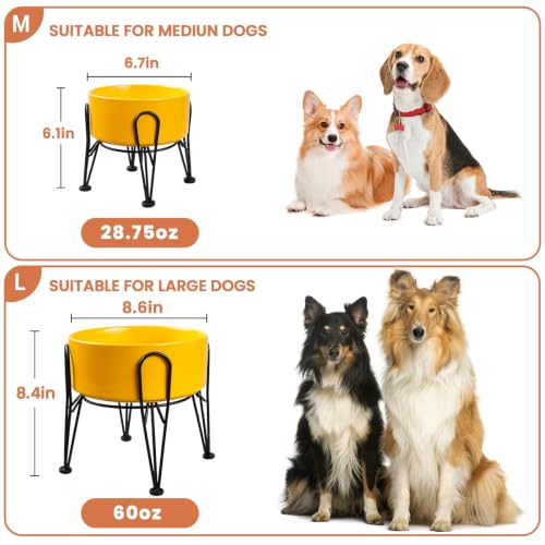 Elevated Dog Bowls (Yellow / 3.6 Cups | 2 Pack | For Medium Dogs)