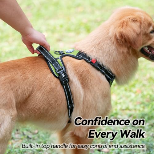 No Pull Dog Harness Small with Front Clip & Neck Release Buckle (S / Green)