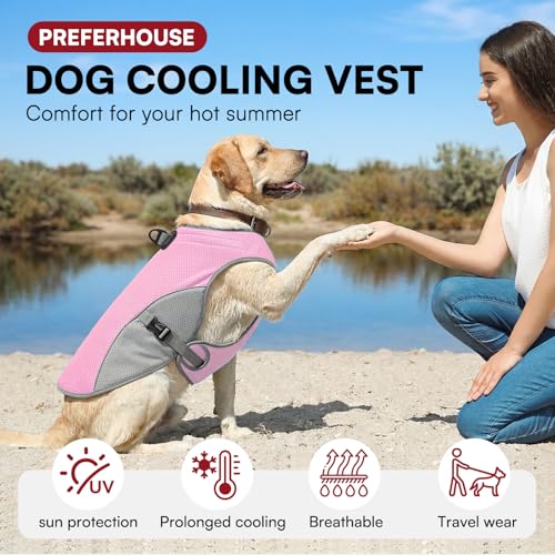 Cooling Vest for Extra (Pink / XXX-Large)