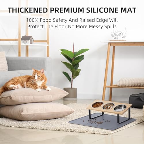 Upgraded Elevated Cat Bowls with Food Mat
