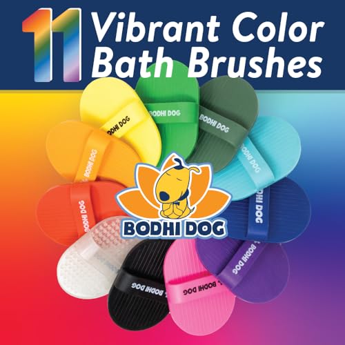 Shampoo Brush (1 Pack / Aqua Blue)