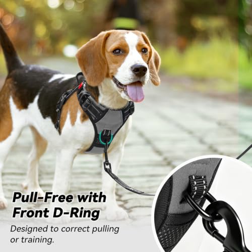 No Pull Dog Harness Small with Front Clip & Neck Release Buckle (XS / Grey)