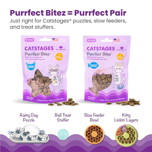 Nina Ottosson Rainy Day Puzzle & Play Cat Toy Treat Puzzle (Rainy Day / Treat Puzzle)