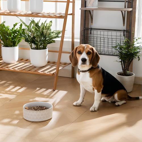 Ceramic Dog Food Bowl (Five-leaf Grass / 4 Cups)