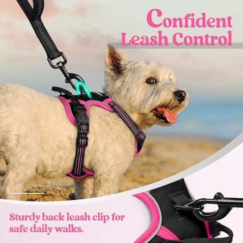 Dog Harness No Pull for Small Dogs with 2 Leash Clips (X-Small / Black & Hot Pink)