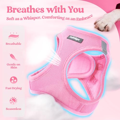 Dog Harness Medium Sized and Leash Set (Light Pink / Xl (chest: 20 - 21.8"))