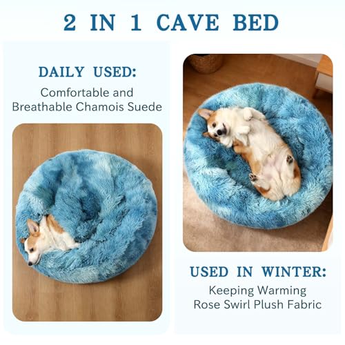 Calming Donut Dog Bed (Gradient Blue / Small 19.7''x19.7''x7'')