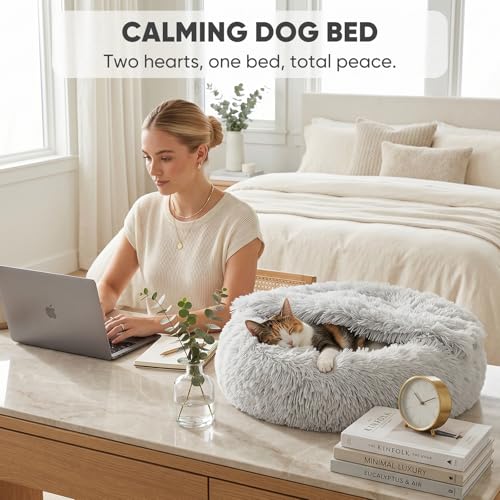 Small Cat & Dog Bed with Cover (20.0"L x 20.0"W x 7.0"Th / Light Grey)