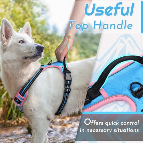Dog Harness for Medium Sized Dogs (Medium / Pink & Sky Blue)