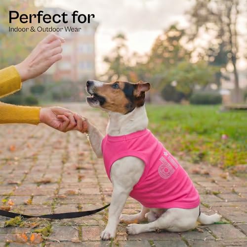 Diva Dog Shirt (Extra Extra Small / Diva)