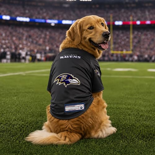 NFL Baltimore Ravens Stretch Pet Jersey (Baltimore Ravens / X-Small)