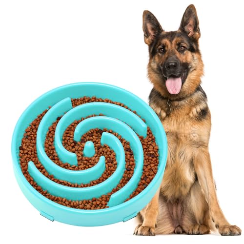 Slow Feeder Dogs Bowl for Large Medium Dogs (Large / B-Sky Blue)