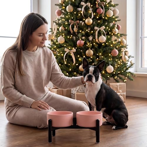 Raised Ceramic Dog Bowl Set with Stand (Pink / 2 Bowls - 3.5 Cups Each)