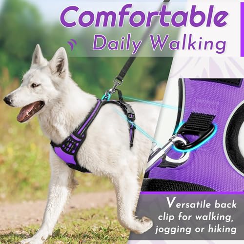 Dog Harness for Small Dogs (Small / Purple)